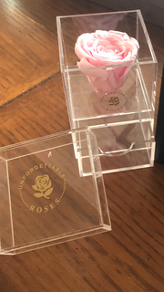 Acrylic Box with 1 Preserved Rose