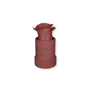 Single rose velvet cylinder