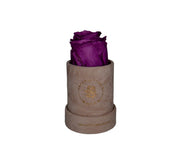 Single rose velvet cylinder