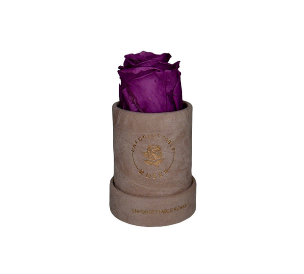 Single rose velvet cylinder